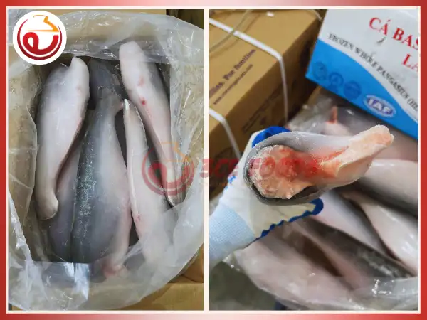 Cá basa đông lạnh thùng 10kg giá sỉ - Thực phẩm đông lạnh 3CE Foods