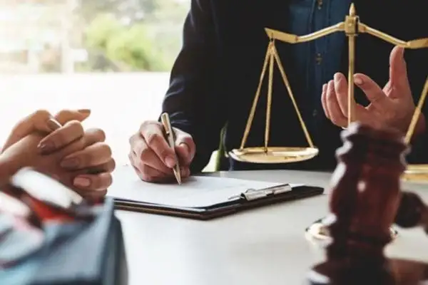 Thông tin pháp lý 3CE Foods