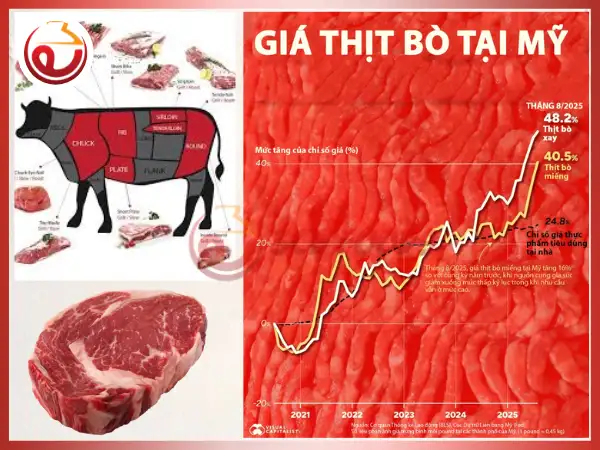 Thực phẩm đông lạnh 3CE foods - Giá nhập khẩu thịt bò 2025